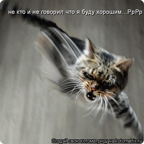 не кто и не говорил что я буду хорошим...РрРр... Котоматрица: не кто и не говорил что я буду хорошим...РрРр