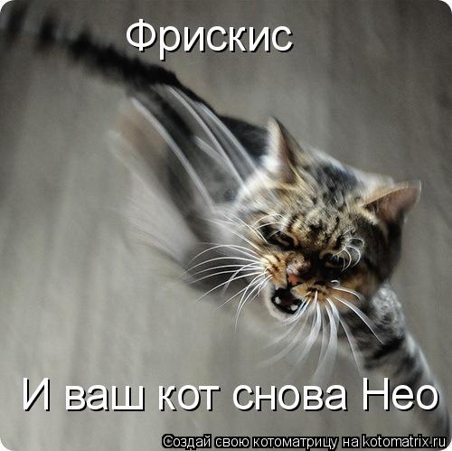 Фрискис И ваш кот снова Нео... Котоматрица: Фрискис И ваш кот снова Нео