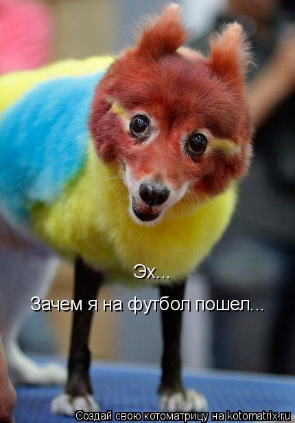 Эх... Зачем я на футбол пошел...... Котоматрица: Эх... Зачем я на футбол пошел...