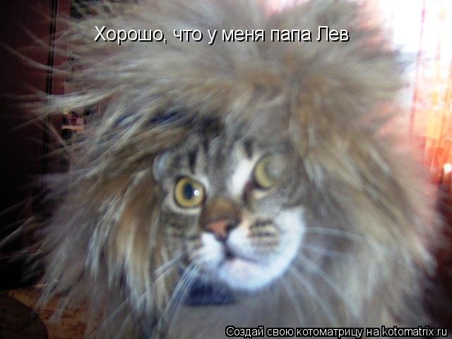 Хорошо, что у меня папа Лев... Котоматрица: Хорошо, что у меня папа Лев
