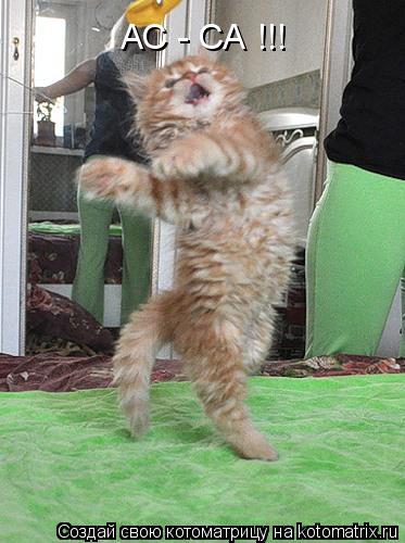 АС - СА !!!... Котоматрица: АС - СА !!!