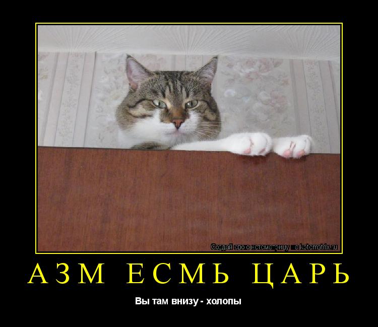 Азм есмь Царь Вы там внизу - холопы... Котоматрица: Азм есмь Царь Вы там внизу - холопы
