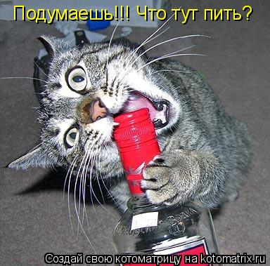 Подумаешь!!! Что тут пить?... Котоматрица: Подумаешь!!! Что тут пить?