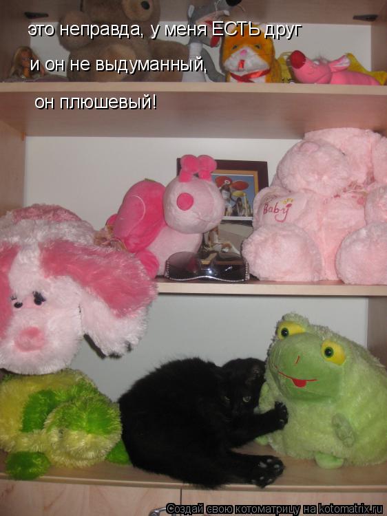 это неправда, у меня ЕСТЬ друг и он не выдуманный, он плюшевый!... Котоматрица: это неправда, у меня ЕСТЬ друг и он не выдуманный, он плюшевый!