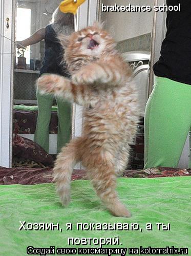 Хозяин, я показываю, а ты повторяй. brakedance school... Котоматрица: Хозяин, я показываю, а ты повторяй. brakedance school