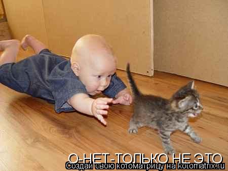 Котоматрица: О-НЕТ-ТОЛЬКО НЕ ЭТО