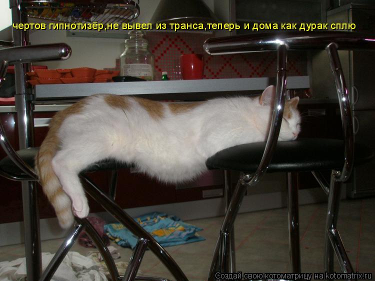 Котоматрица: чертов гипнотизёр,не вывел из транса,теперь и дома как дурак сплю