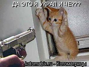Котоматрица: ДА ЭТО Я УКРАЛ И ЧЕ???