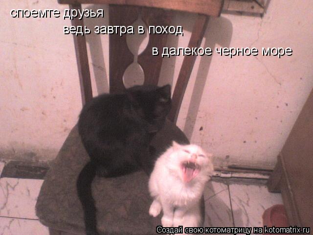 Котоматрица: споемте друзья ведь завтра в поход в далекое черное море
