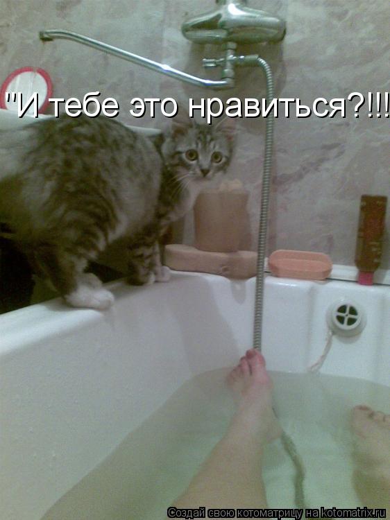 Котоматрица: "И тебе это нравиться?!!!"
