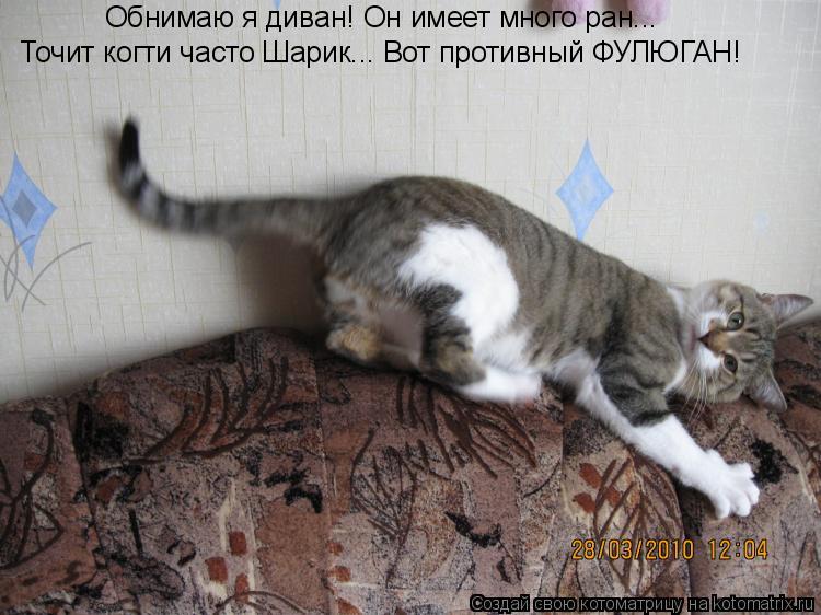 Обнимаю я диван! Он имеет много ран... Точит когти часто Шарик... Вот противный ФУЛЮГАН!... Котоматрица: Обнимаю я диван! Он имеет много ран... Точит когти часто Шарик... Вот противный ФУЛЮГАН!