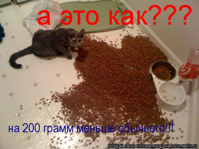 а это как??? на 200 грамм меньше обычного!!!... Котоматрица: а это как??? на 200 грамм меньше обычного!!!