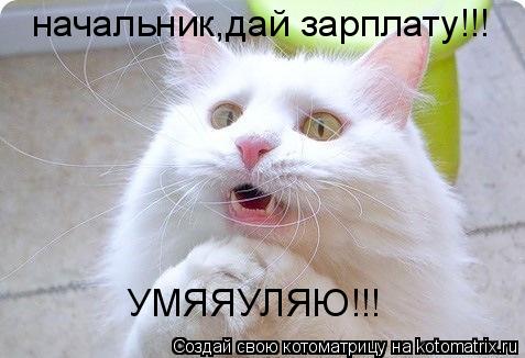 начальник,дай зарплату!!! УМЯЯУЛЯЮ!!!... Котоматрица: начальник,дай зарплату!!! УМЯЯУЛЯЮ!!!