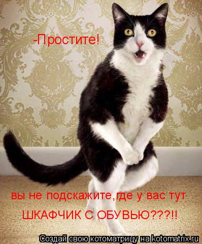 Котоматрица: вы не подскажите,где у вас тут ШКАФЧИК С ОБУВЬЮ???!! -Простите!