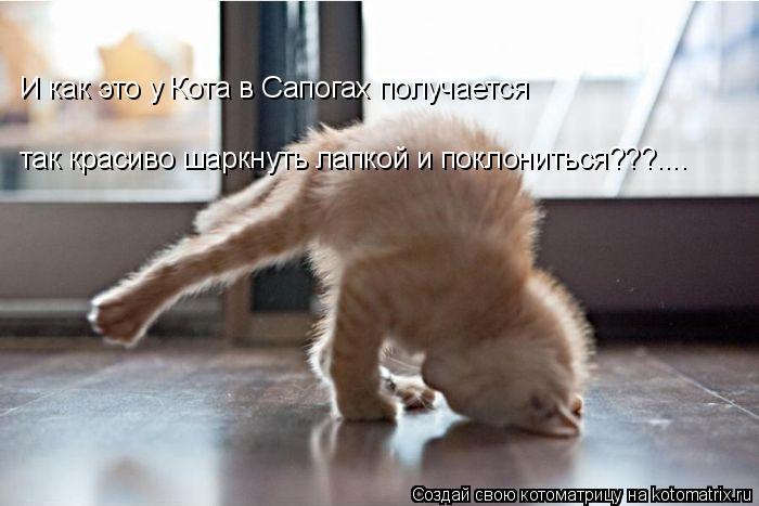 И как это у Кота в Сапогах получается так красиво шаркнуть лапкой и поклониться???....... Котоматрица: И как это у Кота в Сапогах получается так красиво шаркнуть лапкой и поклониться???....