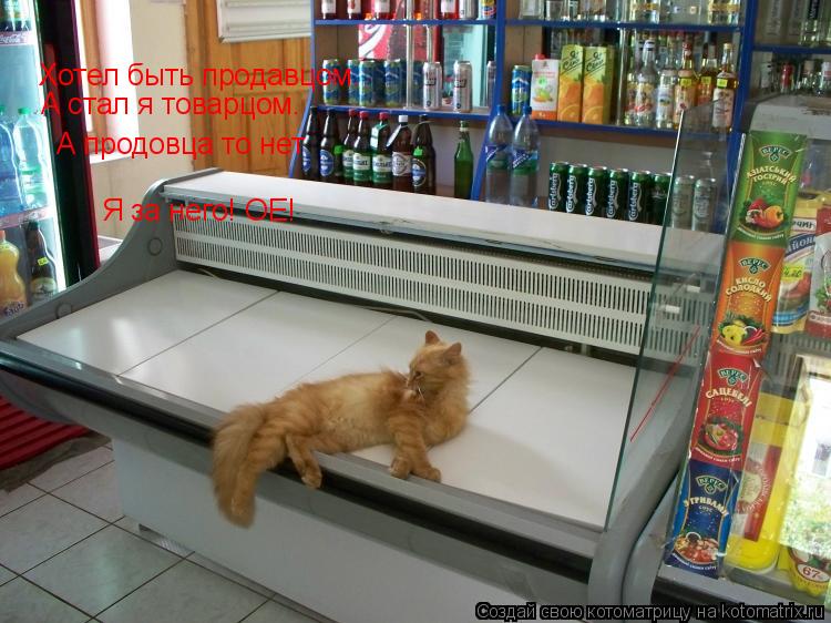 Хотел быть продавцом. А стал я товарцом. А продовца то нет Я за него! ОЕ!... Котоматрица: Хотел быть продавцом. А стал я товарцом. А продовца то нет Я за него! ОЕ!