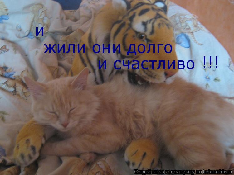и жили они долго и счастливо !!!... Котоматрица: и жили они долго и счастливо !!!