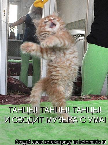 ТАНЦЫ! ТАНЦЫ! ТАНЦЫ! И СВОДИТ МУЗЫКА С УМА!... Котоматрица: ТАНЦЫ! ТАНЦЫ! ТАНЦЫ! И СВОДИТ МУЗЫКА С УМА!