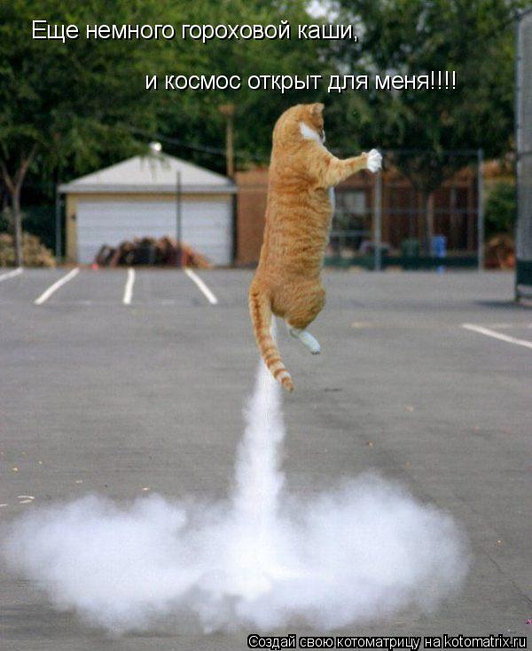 и космос открыт для меня!!!! Еще немного гороховой каши,... Котоматрица: и космос открыт для меня!!!! Еще немного гороховой каши,