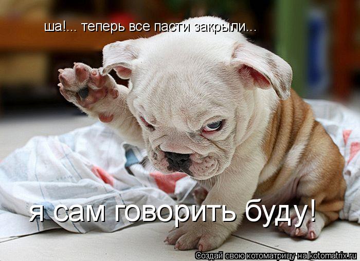 ша!... теперь все пасти закрыли... я сам говорить буду!... Котоматрица: ша!... теперь все пасти закрыли... я сам говорить буду!