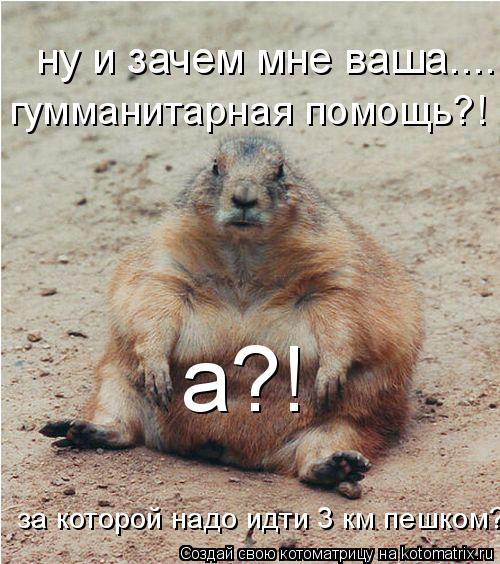 ну и зачем мне ваша.... гумманитарная помощь?! за которой надо идти 3 км пешком?! а?!... Котоматрица: ну и зачем мне ваша.... гумманитарная помощь?! за которой надо идти 3 км пешком?! а?!