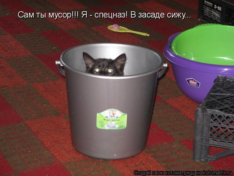 Котоматрица: Сам ты мусор!!! Я - спецназ! В засаде сижу...