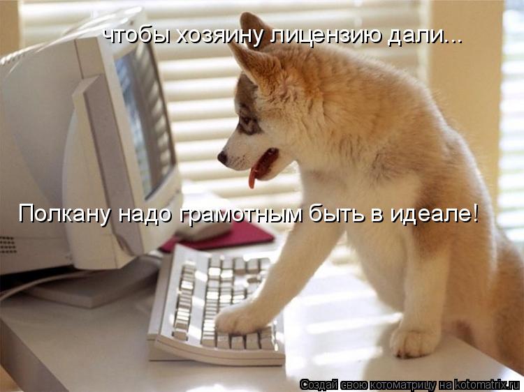 Котоматрица: чтобы хозяину лицензию дали... Полкану надо грамотным быть в идеале!