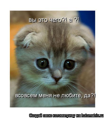 Котоматрица: вы это чего?! а ?! всовсем меня не любите, да?!