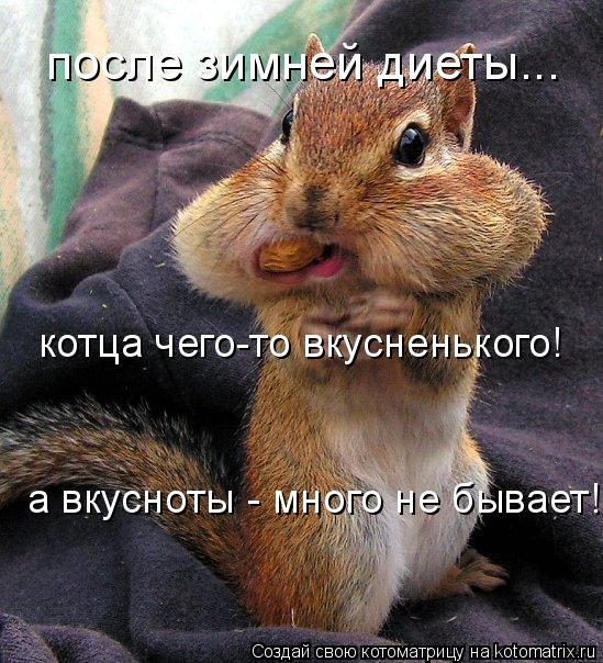 Котоматрица: после зимней диеты... котца чего-то вкусненького! а вкусноты - много не бывает!!