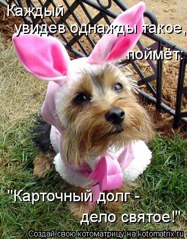 Котоматрица: Каждый  увидев однажды такое, поймёт: "Карточный долг -  дело святое!"