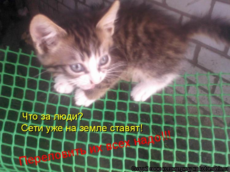 Котоматрица: Что за люди?  Сети уже на земле ставят! Переловить их всех надо!!! Переловить их всех надо!!! Переловить их всех надо!!!