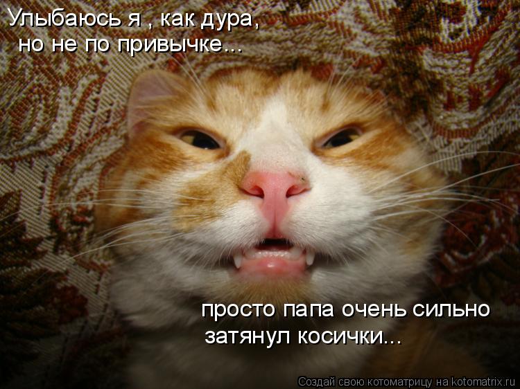 Котоматрица: Улыбаюсь я , как дура, но не по привычке... просто папа очень сильно затянул косички...