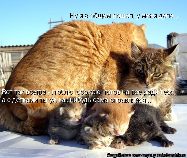 Котоматрица: Вот так всегда - люблю, обожаю, готов на всё ради тебя, Ну я в общем пошел, у меня дела... а с детками ты уж как нибудь сама справляйся...