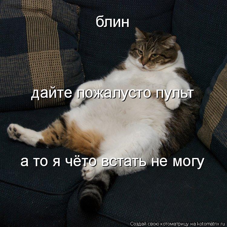 Котоматрица: блин дайте пожалусто пульт а то я чёто встать не могу