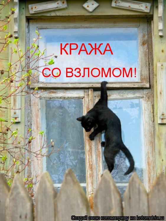 Котоматрица: КРАЖА  СО ВЗЛОМОМ!