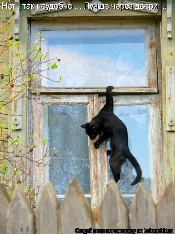 Котоматрица: Нет , так неудобно ... Лучше через двери ...