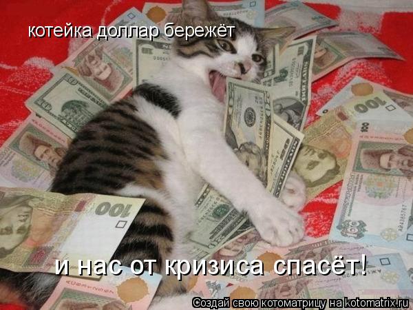 Котоматрица: котейка доллар бережёт и нас от кризиса спасёт!