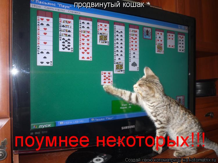 Котоматрица: продвинутый кошак поумнее некоторых!!!