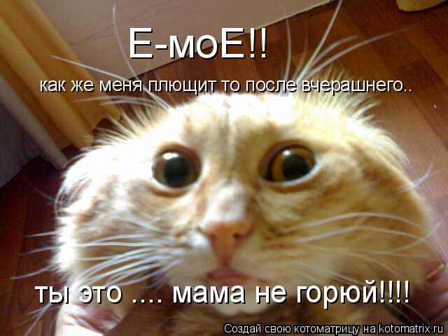 Котоматрица: Е-моЕ!!  как же меня плющит то после вчерашнего.. ты это .... мама не горюй!!!!