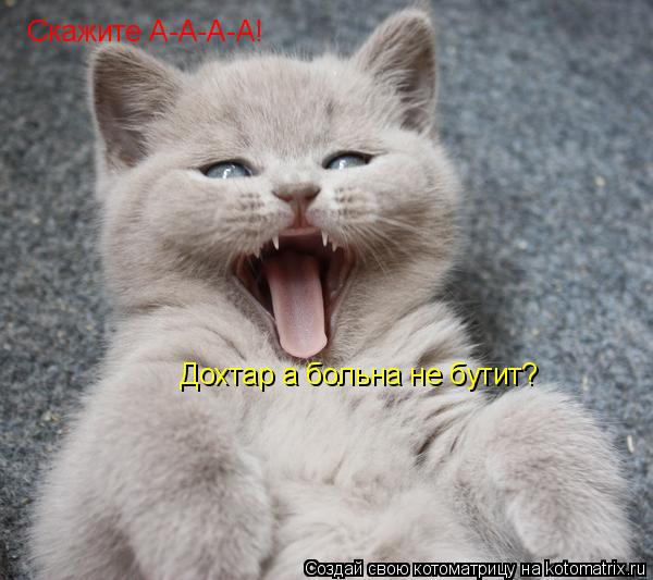 Котоматрица: Скажите А-А-А-А! Дохтар а больна не бутит?
