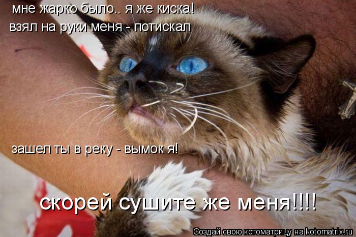 Котоматрица: мне жарко было.. я же киска! взял на руки меня - потискал зашел ты в реку - вымок я! скорей сушите же меня!!!!