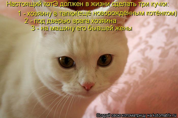 Котоматрица: Настоящий котЭ должен в жизни сделать три кучки: 1 - хозяину в тапки 2 - под дверью врага хозяина 3 - на машину его бывшей жены (ещё новорождённы