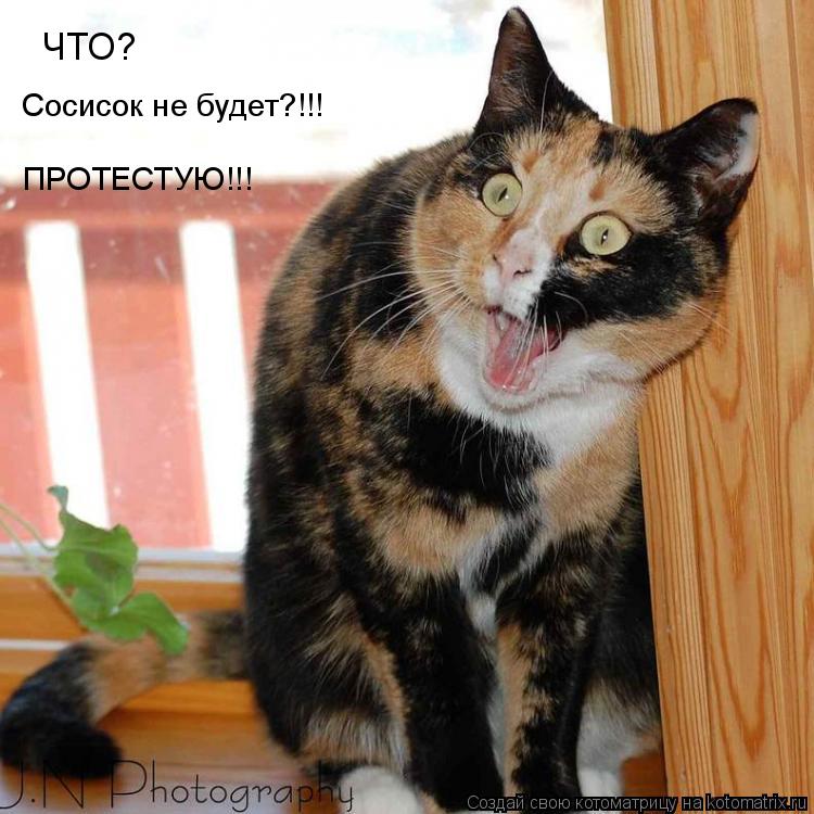 Котоматрица: ЧТО? Сосисок не будет?!!! ПРОТЕСТУЮ!!!