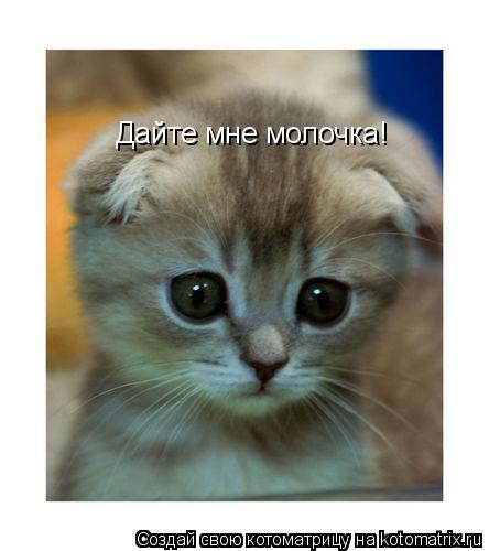 Котоматрица: Дайте мне молочка!