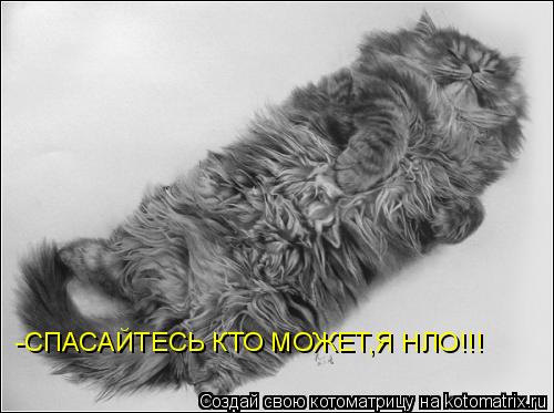 Котоматрица: -СПАСАЙТЕСЬ КТО МОЖЕТ,Я НЛО!!!