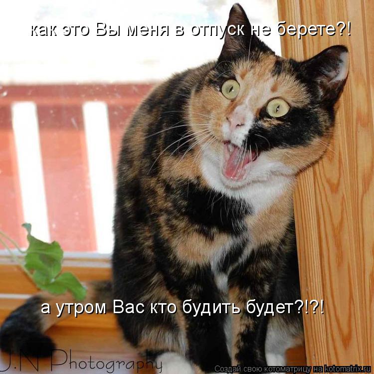 Котоматрица: как это Вы меня в отпуск не берете?! а утром Вас кто будить будет?!?!