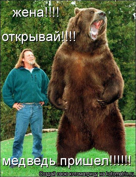 Котоматрица: жена!!!!  открывай!!!!  медведь пришел!!!!!!
