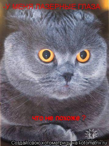 Котоматрица: -У МЕНЯ ЛАЗЕРНЫЕ ГЛАЗА что не похоже что не похоже ?