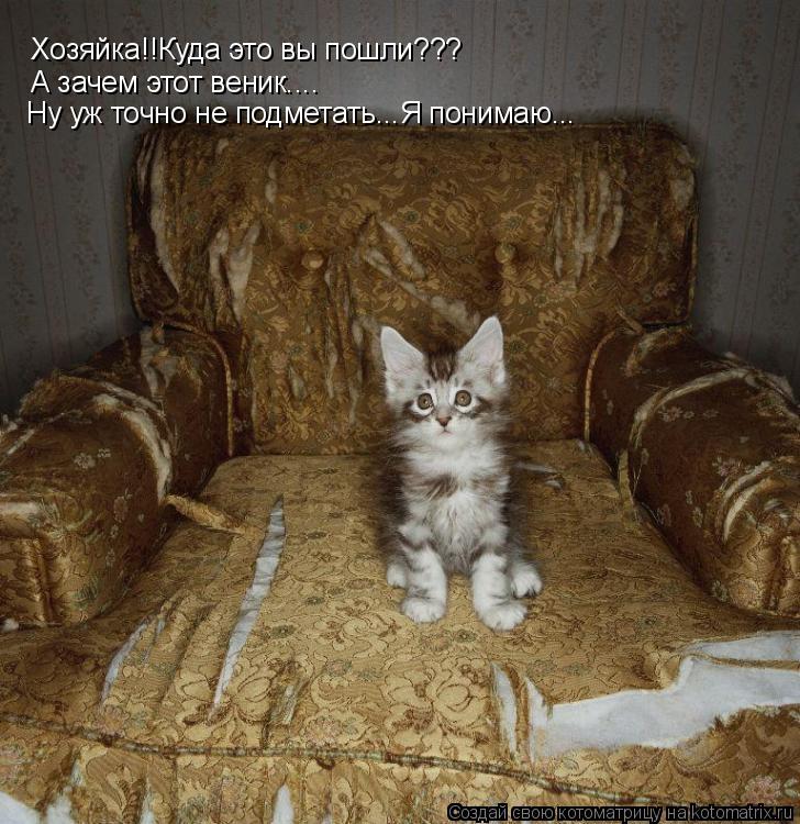 Котоматрица: Хозяйка!!Куда это вы пошли??? А зачем этот веник.... Ну уж точно не подметать...Я понимаю...
