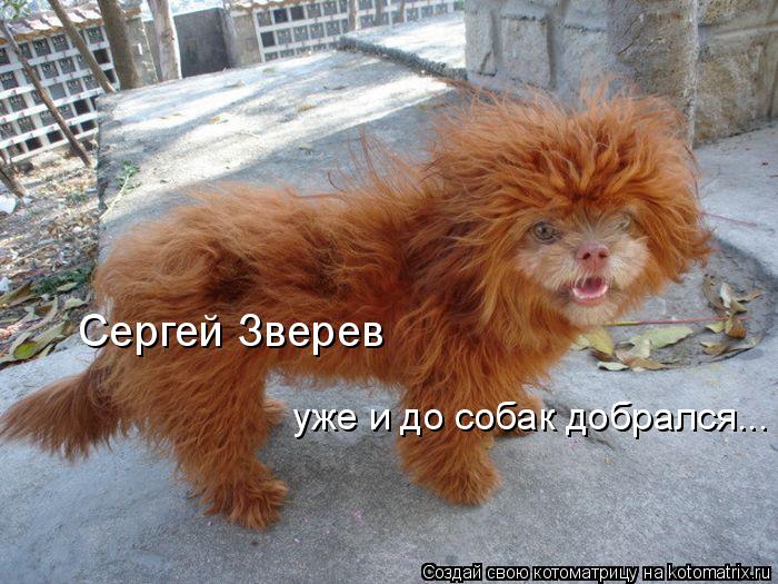Котоматрица: уже и до собак добрался... Сергей Зверев